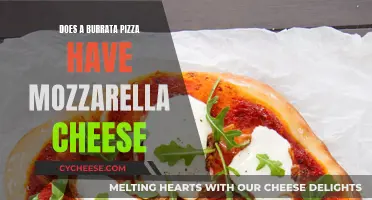 Burrata's Bliss: Unveiling the Mozzarella Mystery in Pizza Paradise