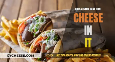 Goat Cheese in Gyros: A Culinary Mystery Unveiled