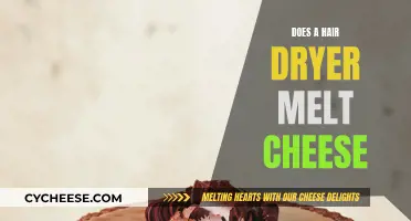 Can Hair Dryers Melt Cheese? An Odd Experiment