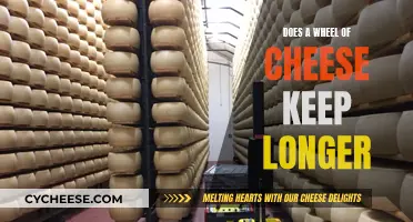 Cheese Connoisseurs: Keeping Wheels Fresh Longer