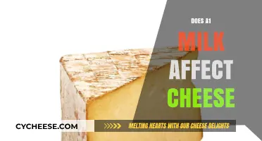 A1 Milk's Impact on Cheese: Texture, Flavor, and Digestibility Explored