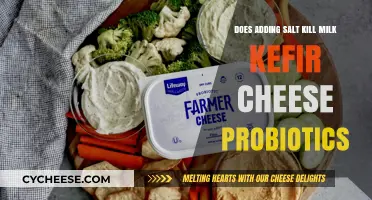 Does Salt Harm Milk Kefir Cheese Probiotics? Uncovering the Truth