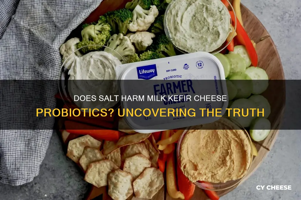 does adding salt kill milk kefir cheese probiotics
