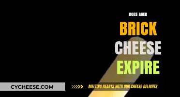 Does Aged Brick Cheese Expire? Shelf Life and Storage Tips