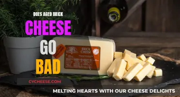 Aged Brick Cheese: How Long Does It Last?