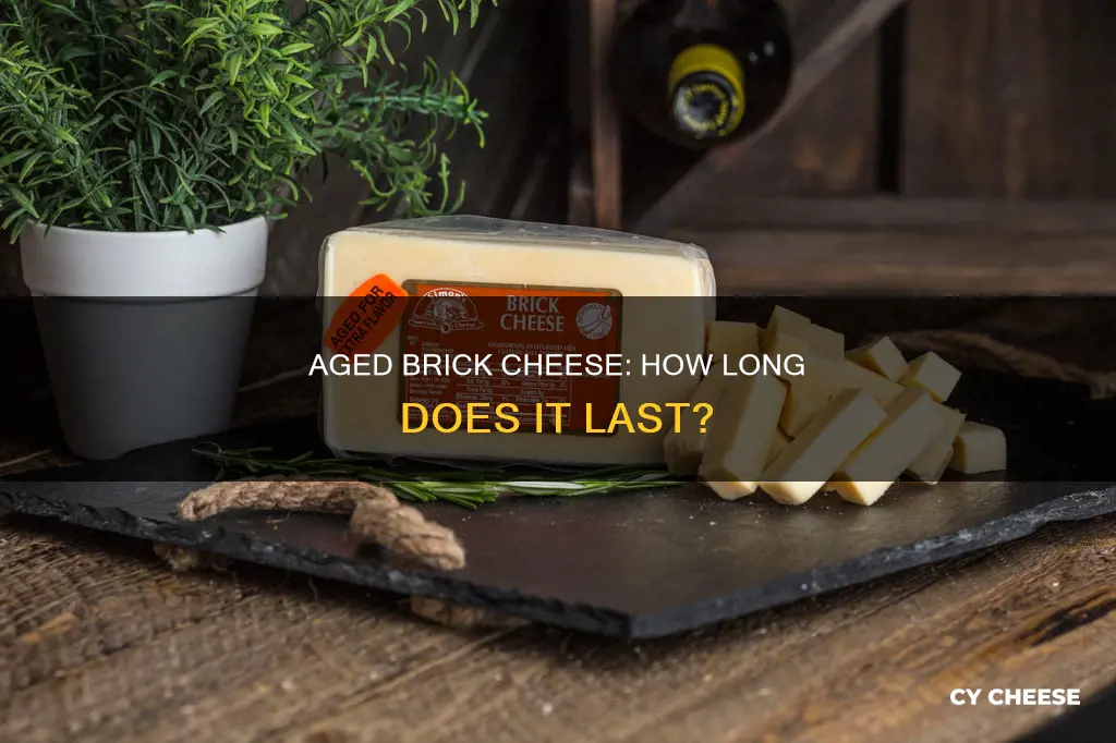 does aged brick cheese go bad