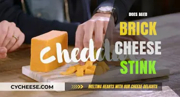 Does Aged Brick Cheese Stink? Uncovering the Truth Behind Its Aroma