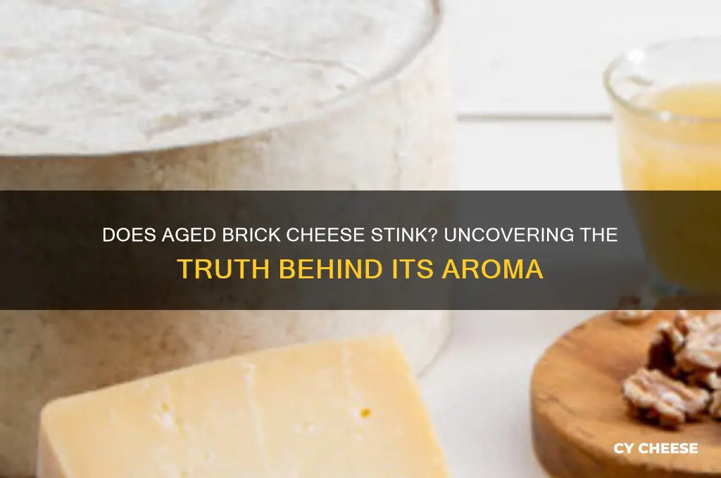 does aged brick cheese stink