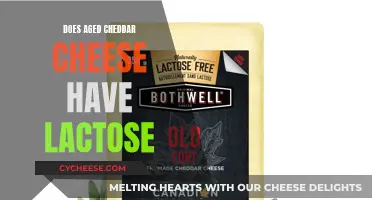 Unveiling the Lactose Mystery: Does Aged Cheddar Cheese Still Contain Milk Sugar?