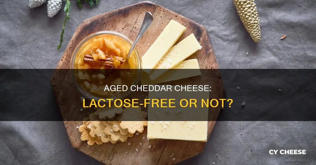 does aged cheddar cheese have lactose