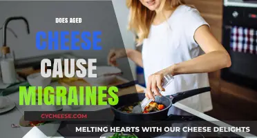 Aged Cheese and Migraines: Unraveling the Trigger Connection