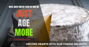 Cheese Aging: Does It Ever Go Bad?