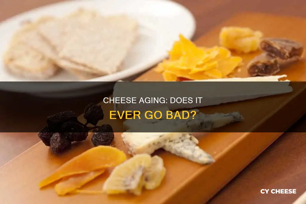 does aged cheese ever go bad or just age more