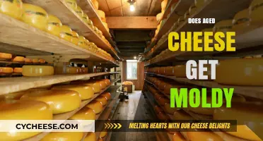 Aged Cheese and Mold: What's the Deal?