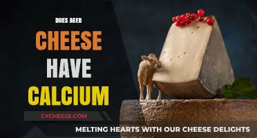 Aged Cheese and Calcium: Uncovering Nutritional Benefits in Mature Cheeses
