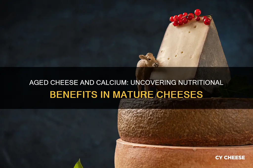 does aged cheese have calcium
