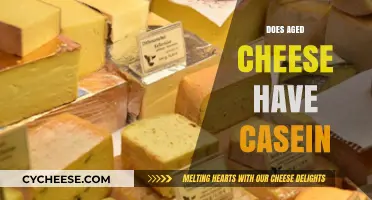 Aged Cheese and Casein: Unraveling the Protein Content Mystery