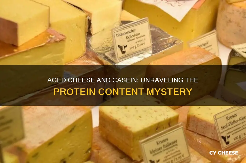 does aged cheese have casein