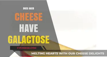 Aged Cheese and Galactose: Uncovering the Sweet Truth in Dairy
