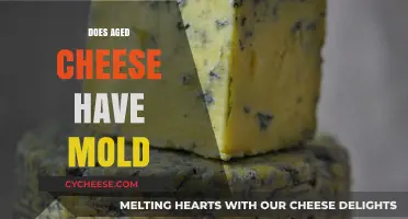 Aged Cheese and Mold: Uncovering the Truth Behind the Flavor