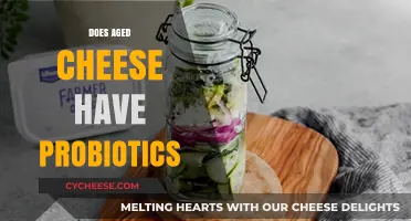 Aged Cheese and Probiotics: Unlocking Gut Health Benefits