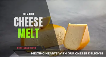 Aged Cheese Melting: The Science Behind It