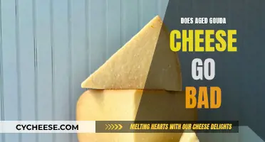 Aged Gouda: How Long Does It Last?