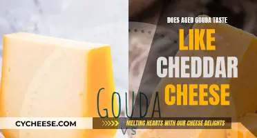 Aged Gouda: A Cheddar Look-Alike or a Different Experience?