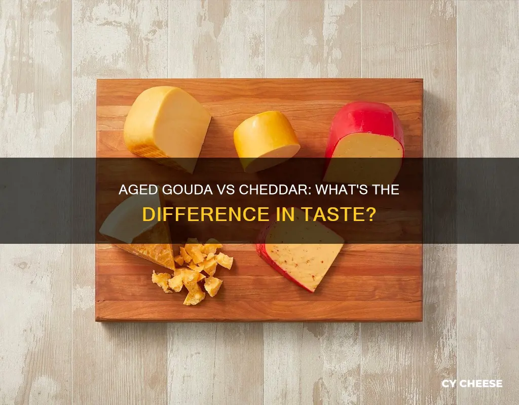 does aged gouda taste like cheddar cheese