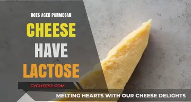 Aged Parmesan Cheese: Lactose-Free Superfood?