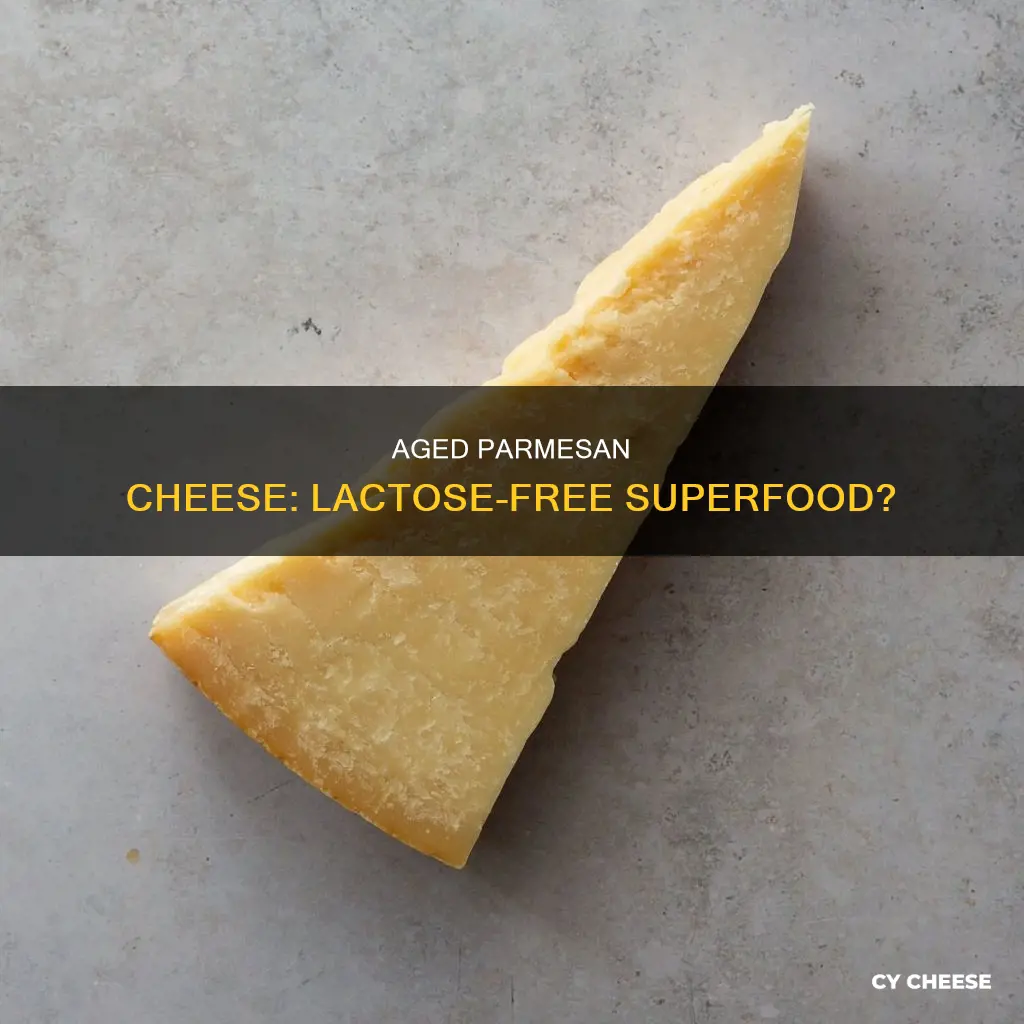 does aged parmesan cheese have lactose