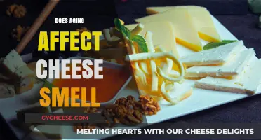 Aging's Impact on Cheese Aroma: Unraveling the Smelly Mystery