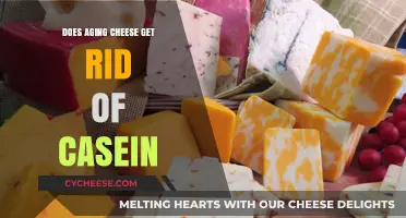 Aging Cheese: Does It Remove Casein?