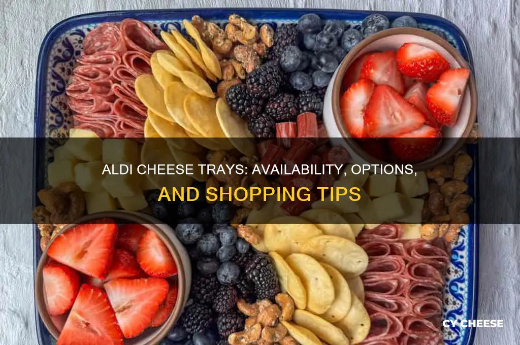 does aldi carry cheese trays