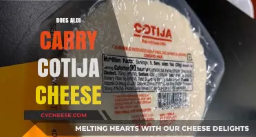 Does Aldi Sell Cotija Cheese? A Shopper's Guide to Finding It