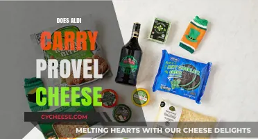 Does Aldi Sell Provel Cheese? A Shopper's Guide to Availability