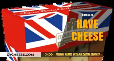 Does Aldi Have Cheese? Exploring Aldi's Dairy Aisle and Cheese Selection