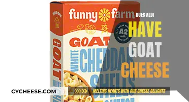 Goat Cheese at Aldi: A Cheesy Shopping List Essential