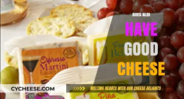 Aldi's Cheese Selection: Quality, Variety, and Value Explored