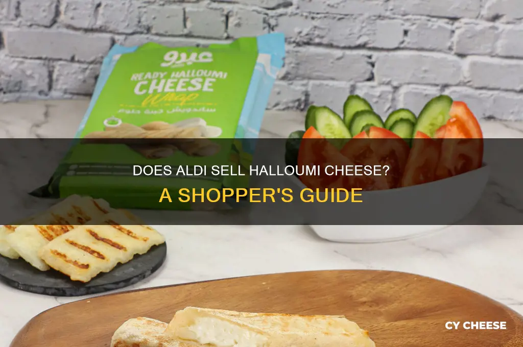 does aldi have halloumi cheese