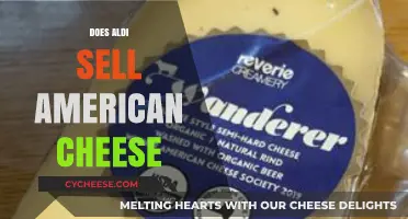 Does Aldi Sell American Cheese? A Shopper's Guide to Aldi's Cheese Selection