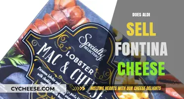 Does Aldi Sell Fontina Cheese? A Shopper's Guide to Availability