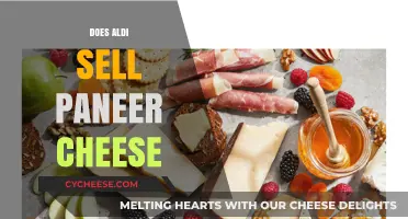 Does Aldi Sell Paneer Cheese? A Shopper's Guide to Availability