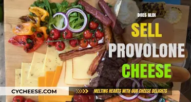 Does Aldi Sell Provolone Cheese? A Shopper's Guide