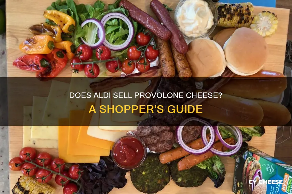 does aldi sell provolone cheese