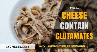 Does All Cheese Contain Glutamates? Unraveling the Umami Mystery
