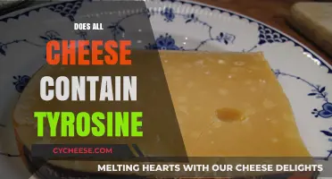 Does All Cheese Contain Tyrosine? Uncovering the Truth About Cheese
