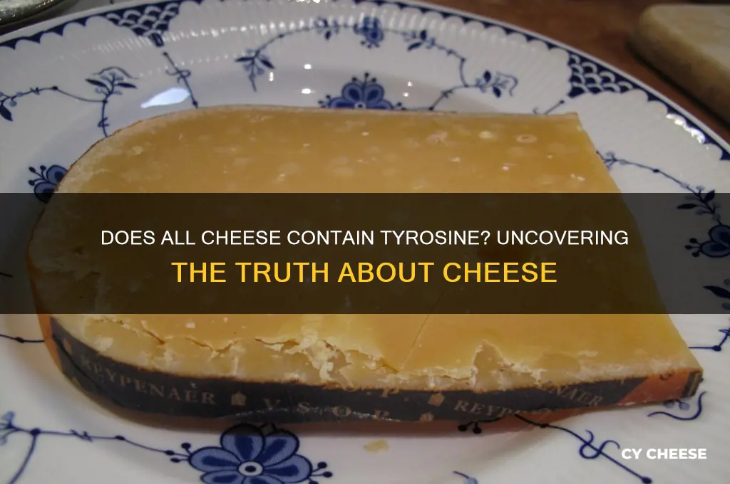 does all cheese contain tyrosine