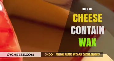 Does All Cheese Contain Wax? Uncovering the Truth Behind the Coating