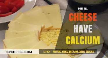 Does All Cheese Contain Calcium? Uncovering the Truth About Dairy